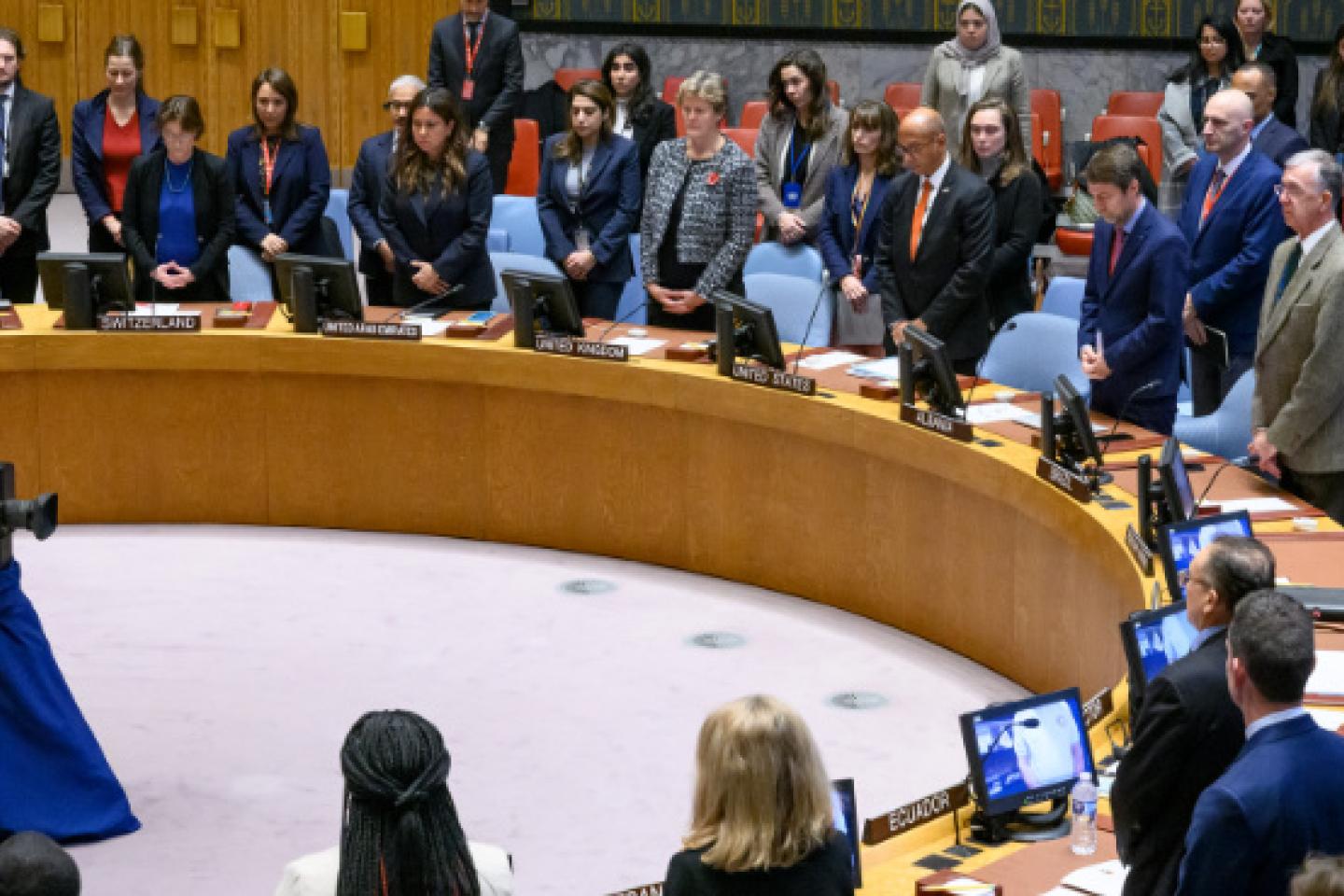 Security Council