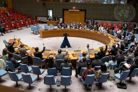 Security Council Extends Mandate of UNAMI